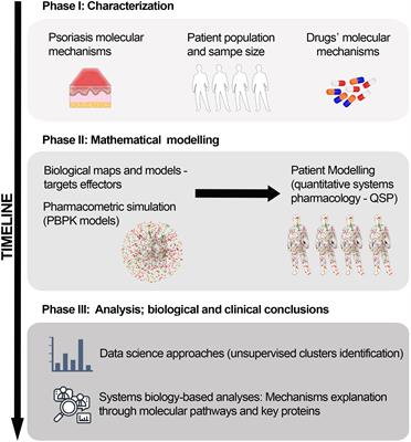 A quantitative systems pharmacology model for certolizumab pegol treatment in moderate-to-severe psoriasis